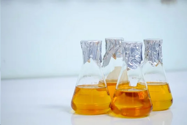 محیط کشت مایع