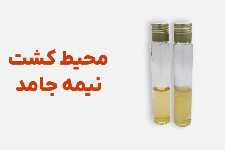 محیط کشت نیمه جامد