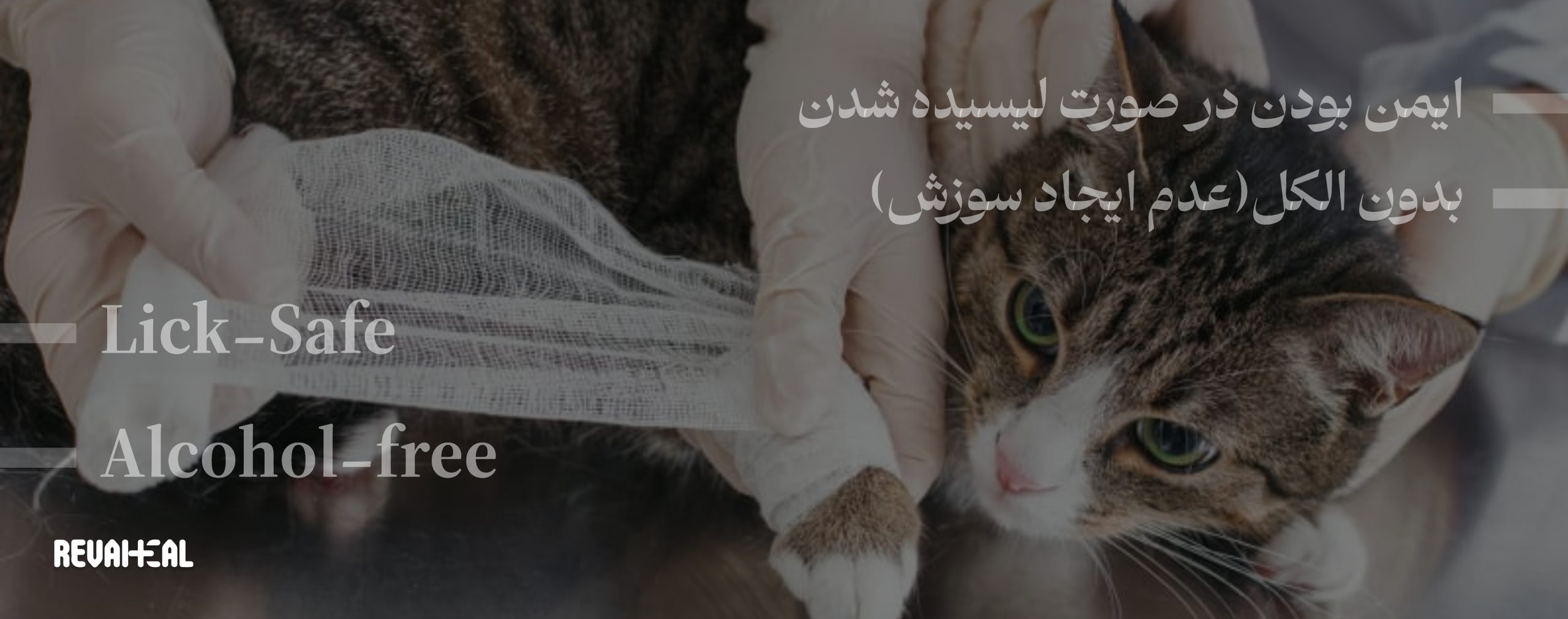 اسپری ضدعفونی کننده و ترمیم کننده زخم حیوانات رواهیل سپت - اسپری ضدعفونی حیوانات - سگ و گربه