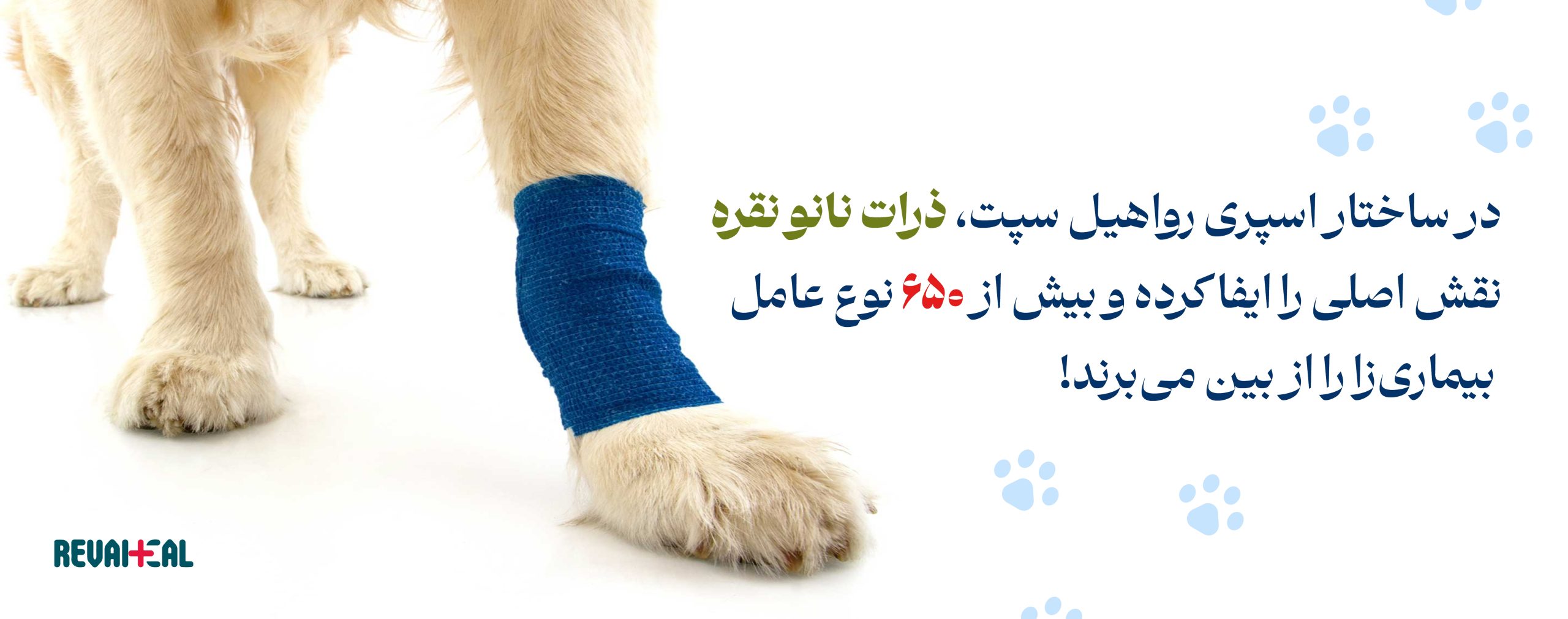 اسپری ضدعفونی کننده و ترمیم کننده زخم حیوانات رواهیل سپت - اسپری ضدعفونی حیوانات - سگ و گربه